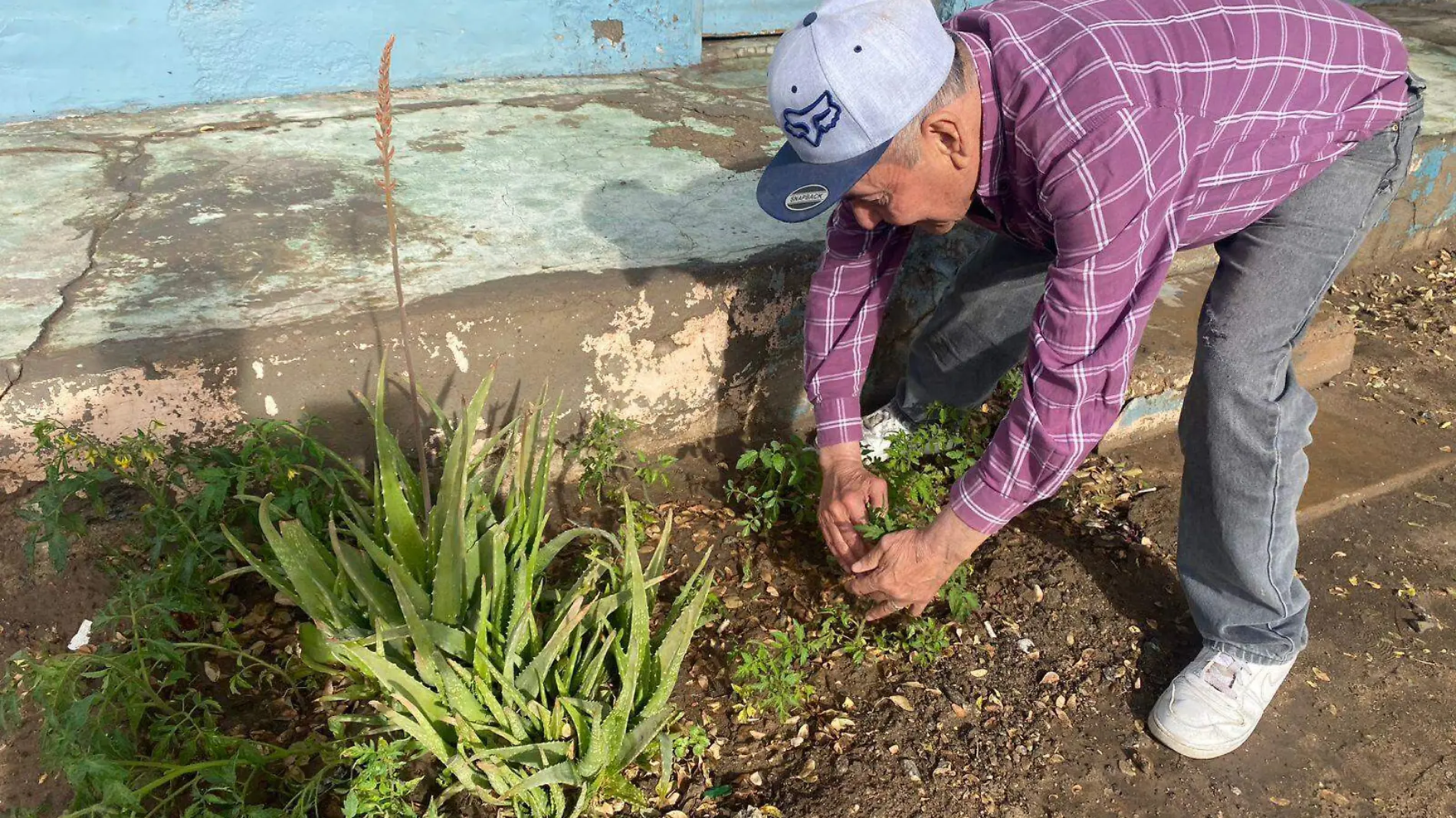 La alumna de la carrera de horticultura de la UES, Paloma Yamileth Arzate, será la encargada de orientar a la población